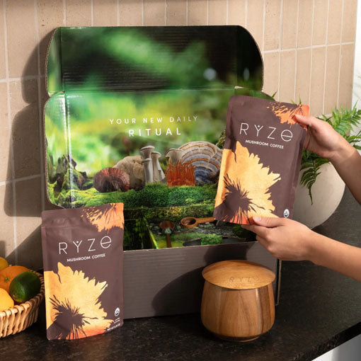 Starter Gift Set